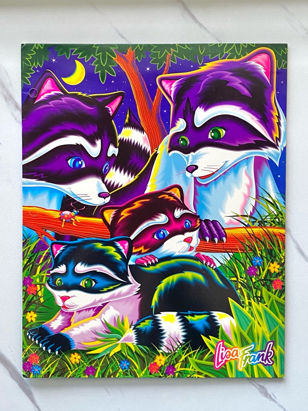 VTG Lisa Frank Raccoon Family folder